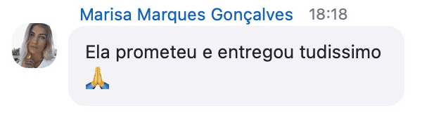 Mensagem no chat do Zoom: ela prometeu e entregou tudíssimo